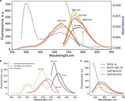 A General Mechanism of Green-to-Red Photoconversions of GFP